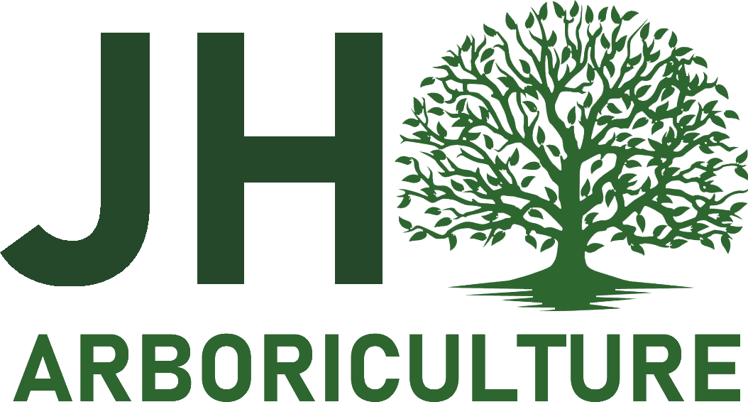 Ryan Foster Website Design