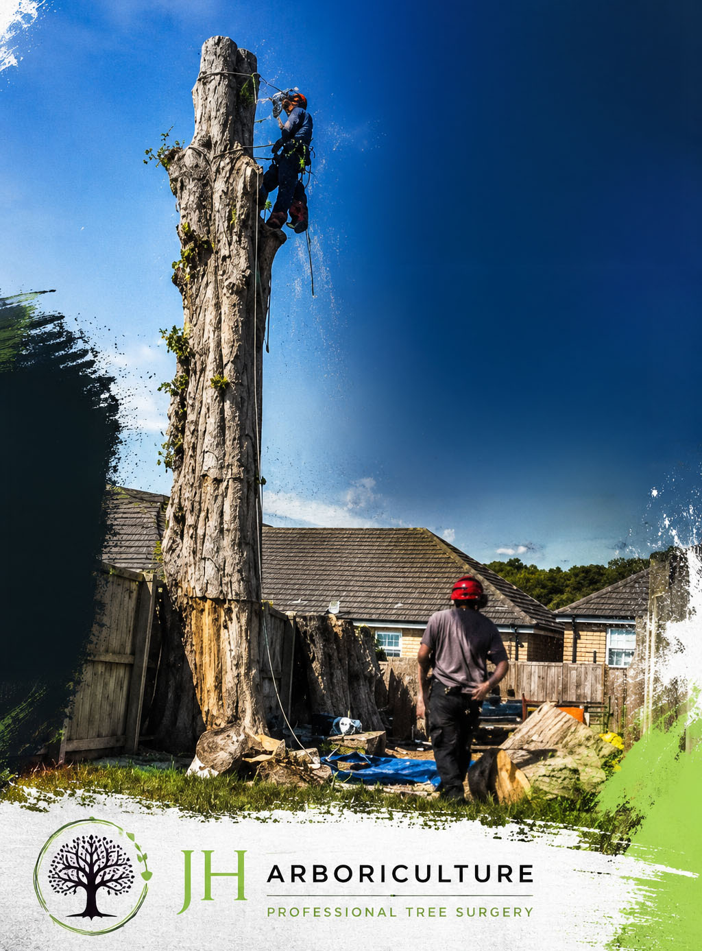 When a Poplar Becomes a Problem